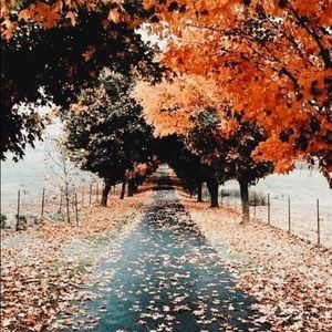 Meet your Posher, Monroe.